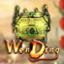 Wen Ding