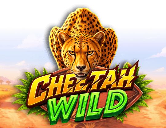 Cheetah Wild