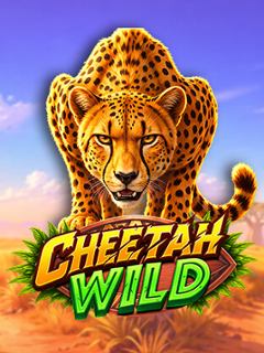 Cheetah Wild