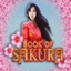 Book of Sakura