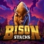 Bison Stacks