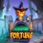 Shadow Fortune