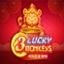 3 Lucky Monkeys