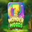 Wonder Woods