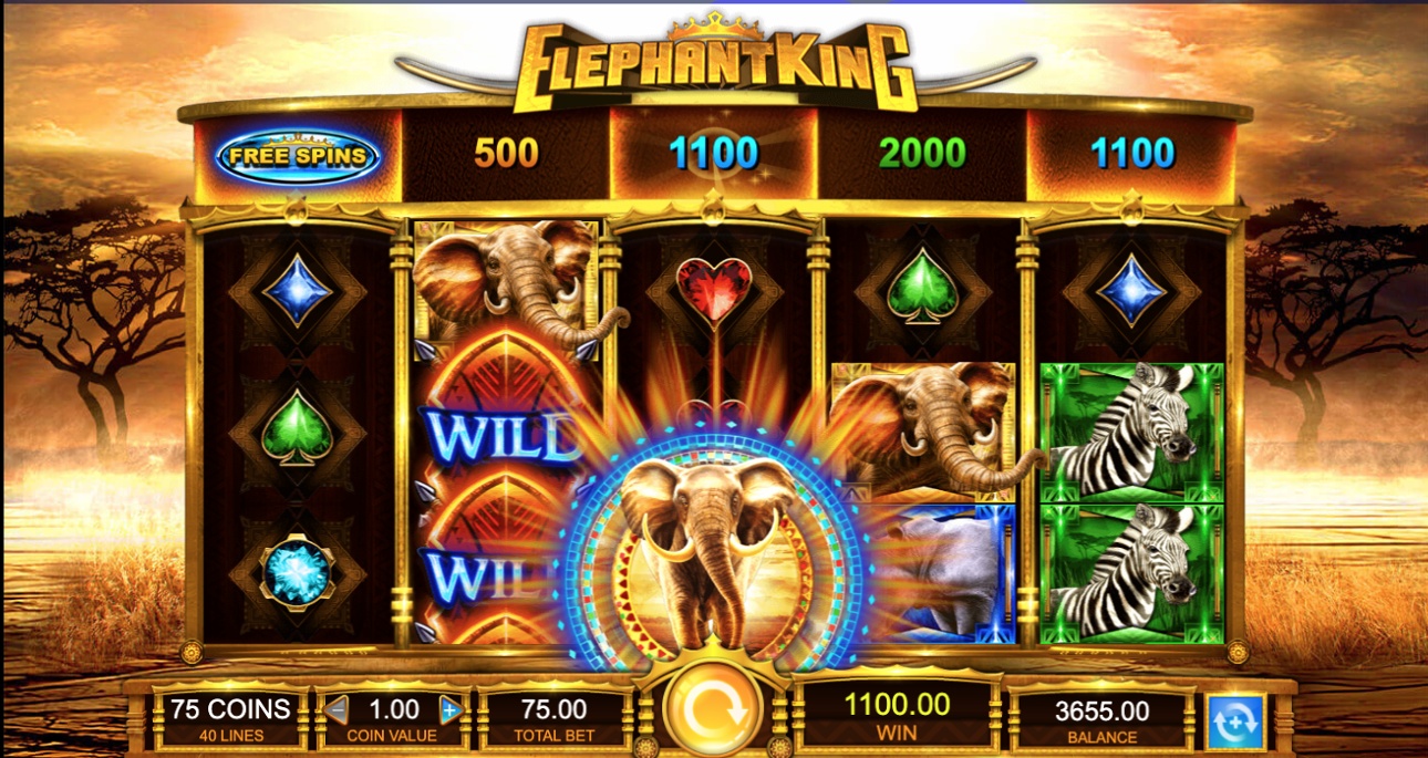 Elephant King win with the bonus symbol