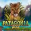 Patagonia Wild
