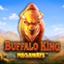 Buffalo King Megaways