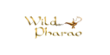 Wild Pharao Casino