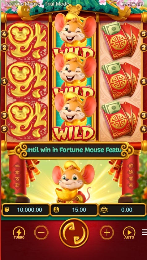 Fortune Mouse.jpg