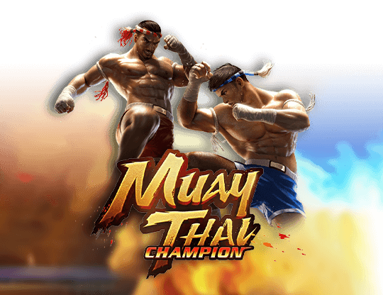 Muay Thai Champion