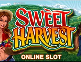 Sweet Harvest