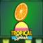 Tropical Splash