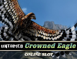 Untamed Crowned Eagle