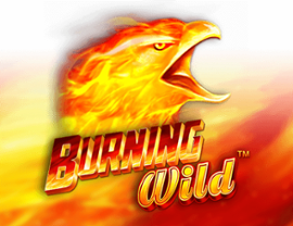 Burning Wild