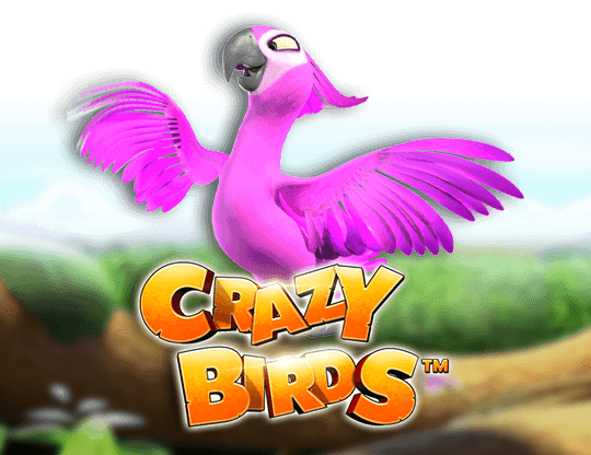 Crazy Birds