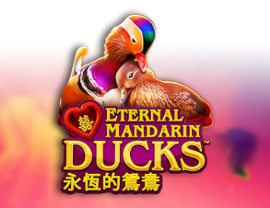 Power Prizes – Eternal Mandarin Ducks