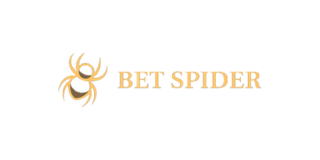 Bet Spider Casino Logo