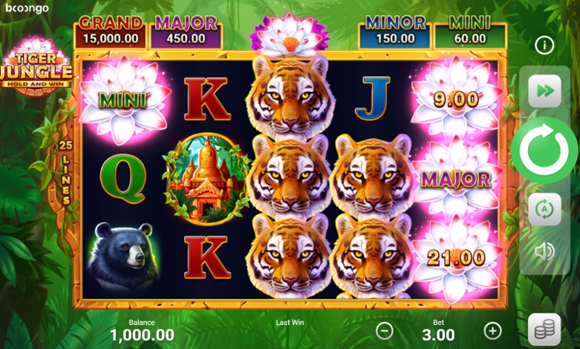 Tiger Jungle.jpg