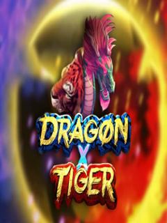 Dragon X Tiger