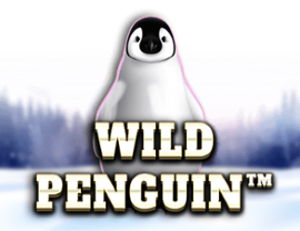 Wild Penguin