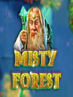 Misty Forest