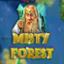 Misty Forest