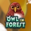 Owl In Forest