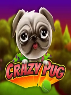 Crazy Pug