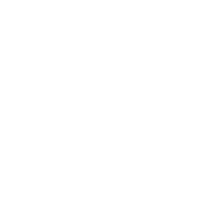 Winner Casino Logo