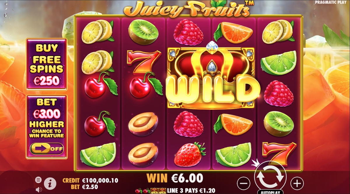 Juicy Fruits slot & 2x2 Wild symbol win