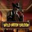 Wild Moon Saloon