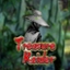 Treasure Raider
