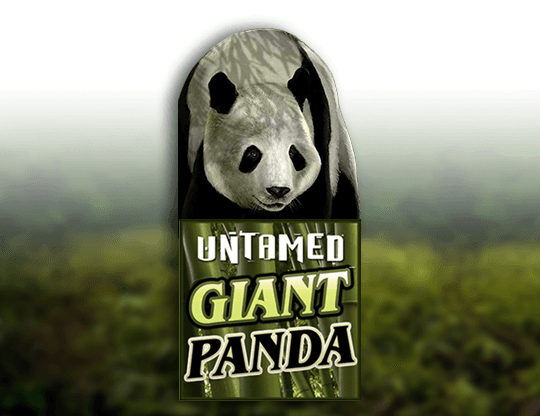 Untamed Giant Panda