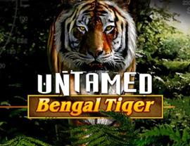 Untamed Bengal Tiger