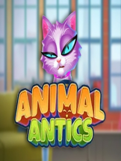Animal Antics