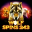 Wolf Spins 243