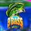 9 Bass