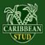 Caribbean Stud