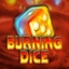 Burning Dice