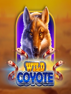 Wild Coyote