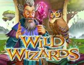 Wild Wizards