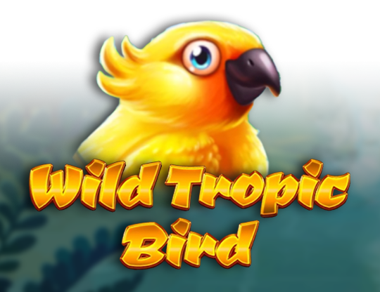 Wild Tropic Bird