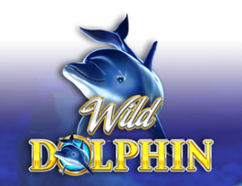 Wild Dolphin