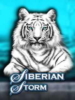 Siberian Storm