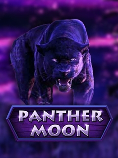 Panther Moon