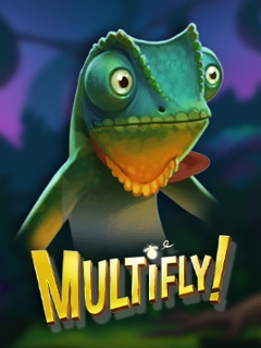 Multifly!
