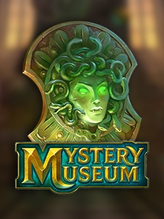 Mystery Museum