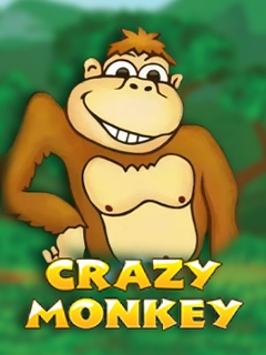 Crazy Monkey
