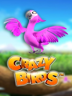 Crazy Birds