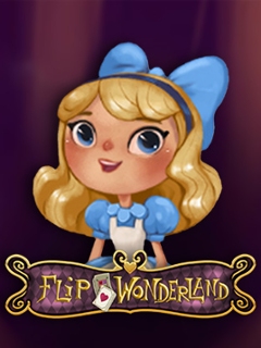 Flip Wonderland